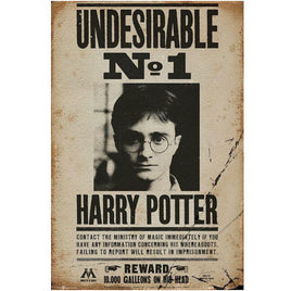 065 ROLLED - Harry Potter Wanted Poster 24x36 PE