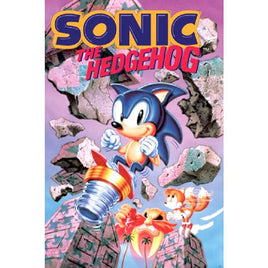 126 ROLLED - Sonic & Tails Poster 24x36 PE