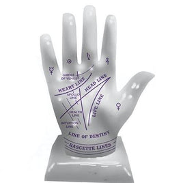 Tiny Palmistry with Palm Reading Guidebook RP Minis 3"