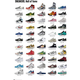 125 ROLLED - Sneakers Evolution Poster 24x36 PE