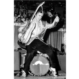 Elvis Presley Hips 22x34 Framed Poster Trends