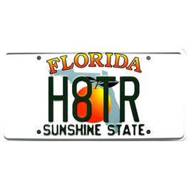 2 Fast 2 Furious Eclipse Spyder "H8TR" Metal Stamped Replica Prop License Plate