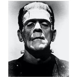 048 ROLLED - Frankenstein Poster 24x36 PE