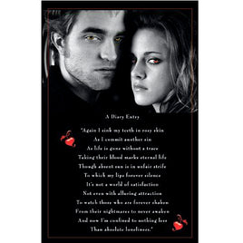 Twilight Diary 2008 Poster 11x17 Framed MP