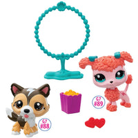 Jump N' Joy Littlest Pet Shop Pet Pair 2.5" (Sheltie & Coral Poodle)