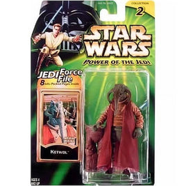 Ketwol Star Wars Power of the Jedi Figure 3.75"