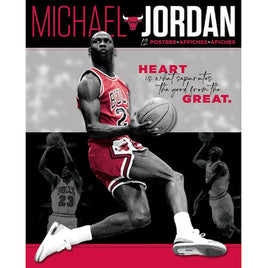 Michael Jordan Poster Book 8.5" X 11" (12 Posters)