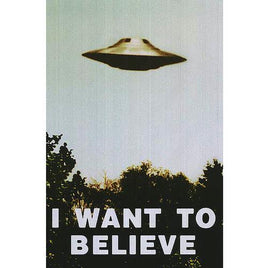 170 ROLLED - X-Files I Want to Believe Poster 24x36 PE