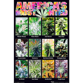 185 ROLLED - America's Most Wanted Poster 24x36 PE